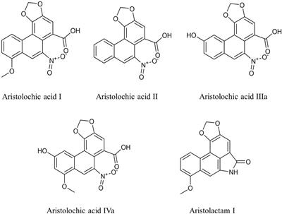 Quantitative Determination and Toxicity Evaluation of Aristolochic Acid Analogues in Asarum heterotropoides F. Schmidt (Xixin) and Traditional Chinese Patent Medicines